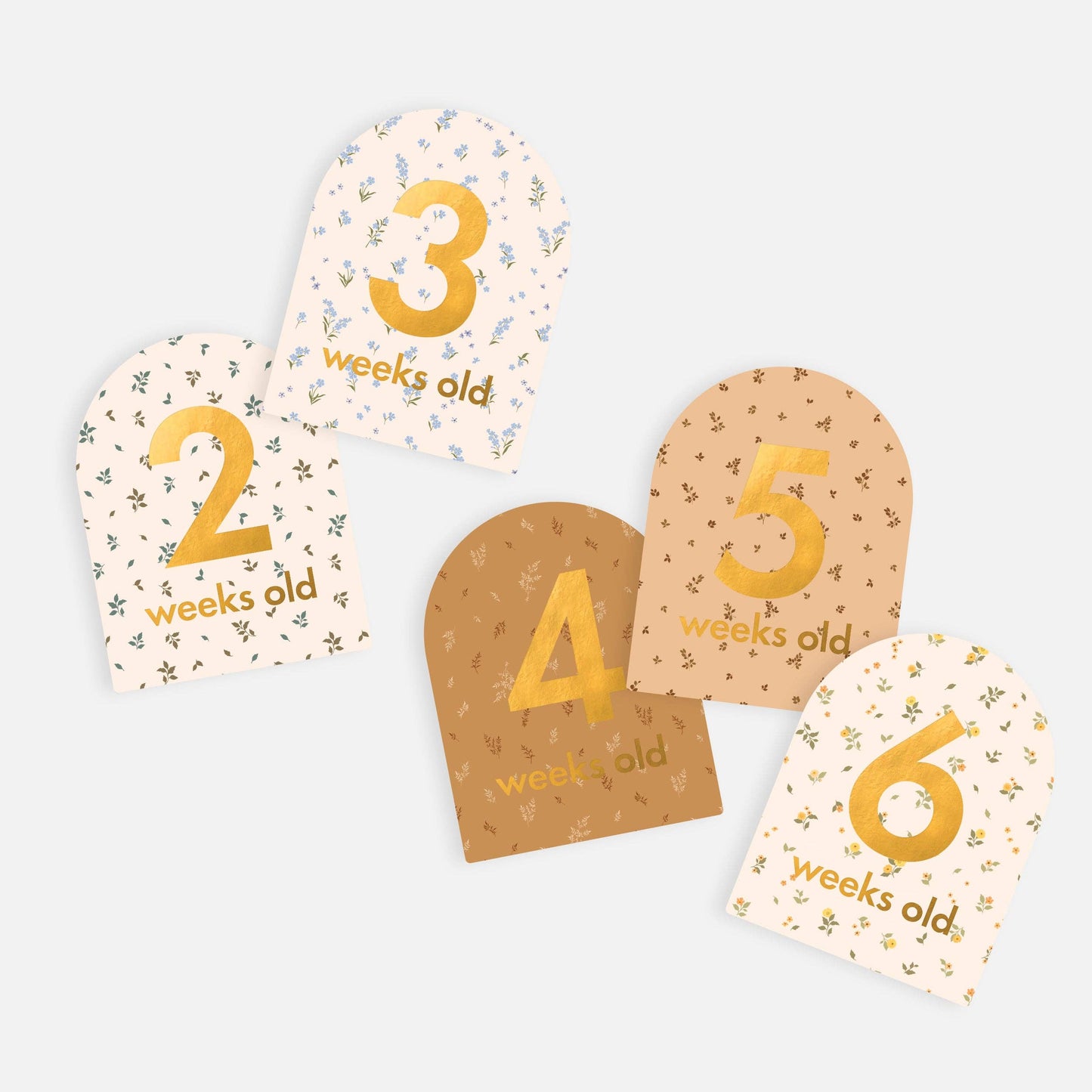 Fox & Fallow - Baby Milestone Cards Broderie