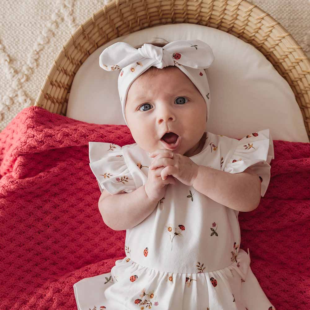 Snuggle Hunny - Ladybug Organic Dress