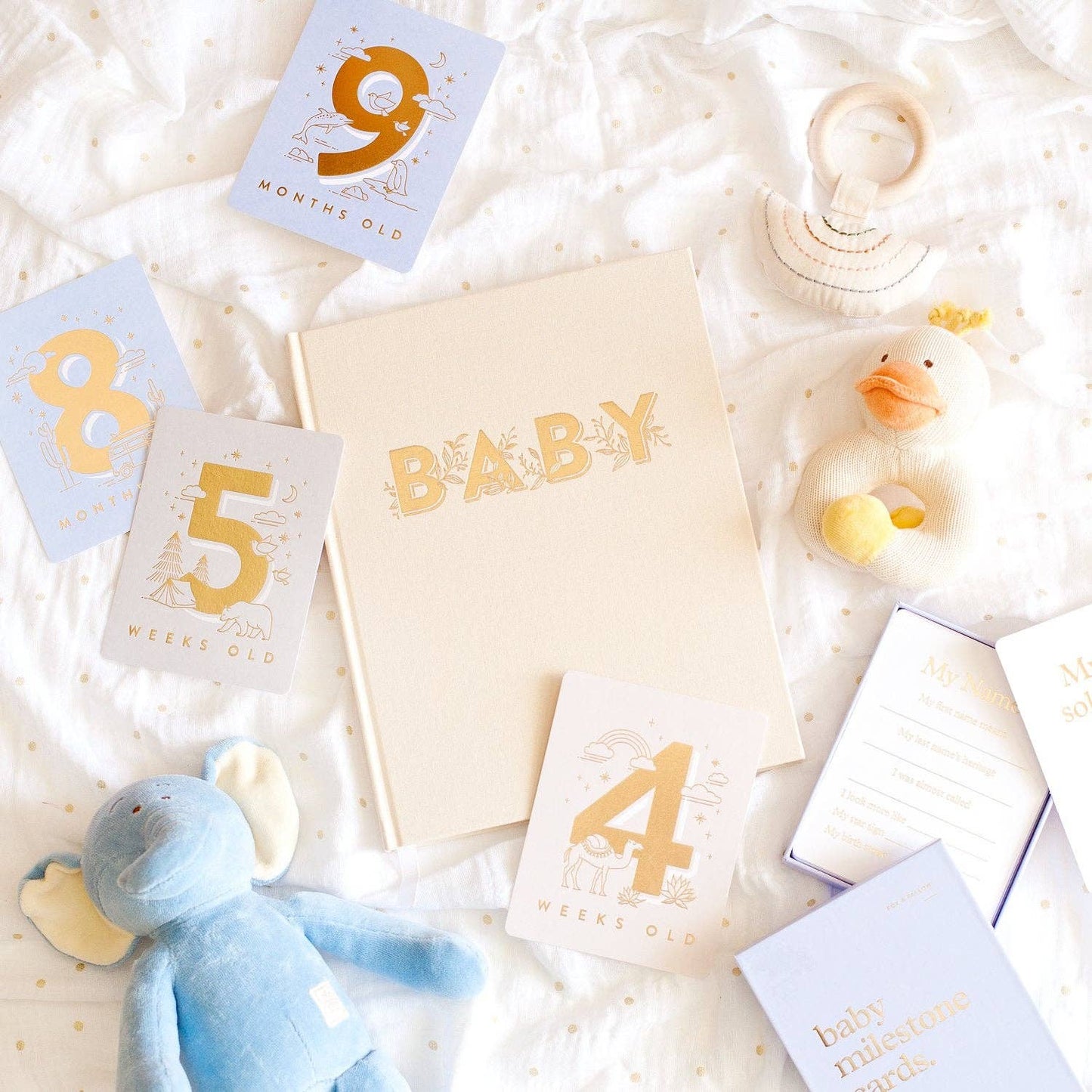 Fox & Fallow - Baby Milestone Cards - Powder Blue